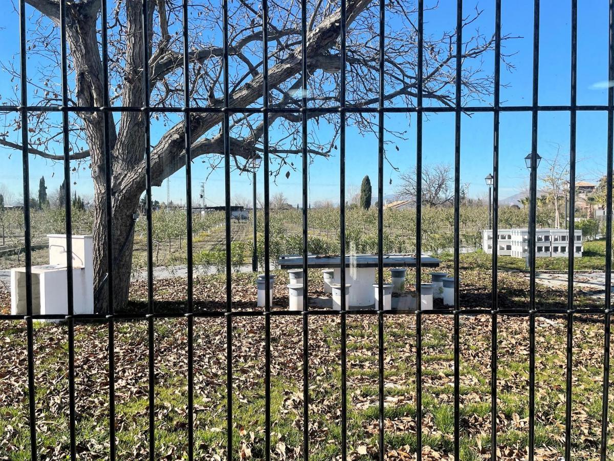 Complejo Rural Torres Y Navas Villa Granada Eksteriør bilde
